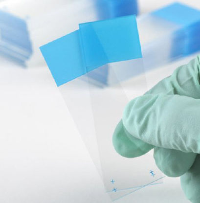 Picture of Microscope Slide Diamond® White Glass Charged 25 X 75 X 1 mm Blue Frosted End1358B