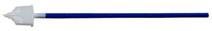 Picture of Cytology Brush Pap Cell022364