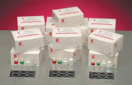Picture of Rapid Test Kit RaPET® RF Latex Agglutination Test Rheumatoid Factor (RF) Serum Sample 50 Tests1155-050