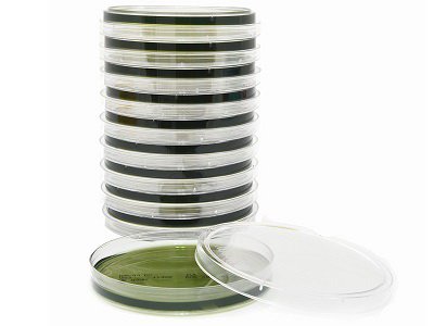 Picture of Prepared Media Hektoen Enteric Agar Petri Plate FormatG63