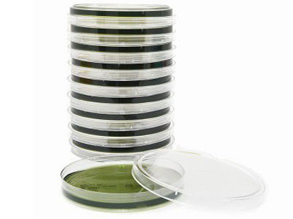 Picture of Prepared Media Hektoen Enteric Agar Petri Plate FormatG63