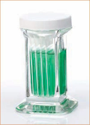Picture of Staining Jar08813E