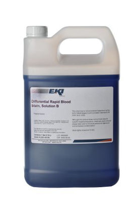 Picture of Differential Rapid Stain Solution B 1 gal.2291-4X1GL