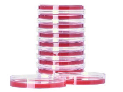 Picture of Prepared Media GBS Detect™ Non-hemolytic Group B Strep Red Petri Plate FormatA300