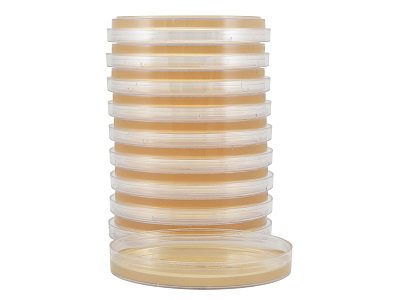 Picture of Prepared Media Tryptic Soy Agar (TSA) with Lecithin and Tween® 80 Mono-Plate FormatG41