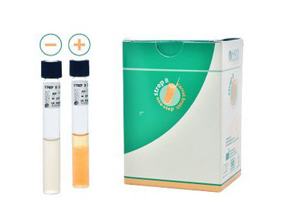 Picture of Prepared Media Strep B Carrot Broth™ Tube FormatZ40