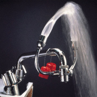 Picture of Eye / Facewash Faucet Station Opti-Klens™ II Faucet Mount Continuous Flow19269422