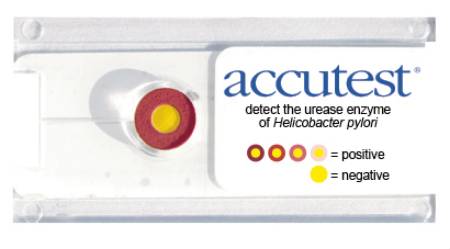 Picture of Rapid Test Kit Accutest® Urease Test H. Pylori Biopsy Sample 50 TestsID750