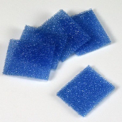 Picture of Biopsy Sponge 2 X 25.4 X 30.2 mm, Blue, -40 to 121°C Temperature Range For Cassettes190195