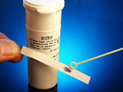 Picture of Test Oxidase 25 TestsZ93