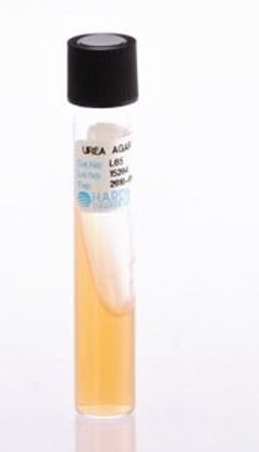 Picture of Prepared Media Urea Agar Slant Tube FormatL65