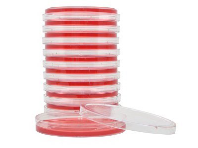 Picture of Prepared Media Mannitol Salt Agar Petri Plate FormatG40