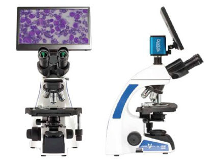 Picture of Innovation Series Biological Microscope Siedentopf Type Trinocular Head Infinity Plan 4X, 10X, 20X, 40X, 100X 90 to 240V, 50/60Hz Mechanical StageINS-T4BV-IPL3