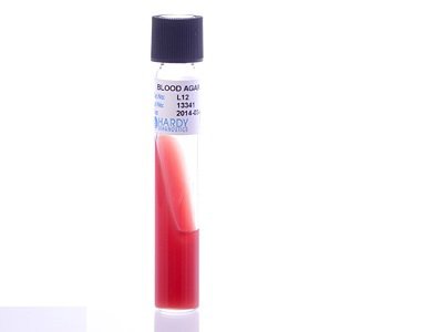 Picture of Prepared Media Tryptic Soy Agar (TSA) with 5% Sheep Blood Slant Tube FormatL12