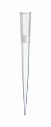 Picture of Aerosol Barrier Pipette Tip Fisherbrand™ SureOne™ 20 to 200 µL Graduated Sterile02707430