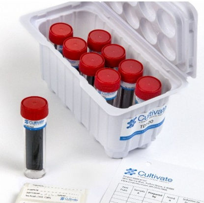 Picture of Growth Media Cultivate Contact™ Tryptic Soy Agar (TSA) Paddle FormatTD100