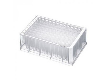 Picture of 96-Well Microplate Eppendorf Deepwell Deepwell 1,000 µL White Frame / Clear Wells NonSterile951033006