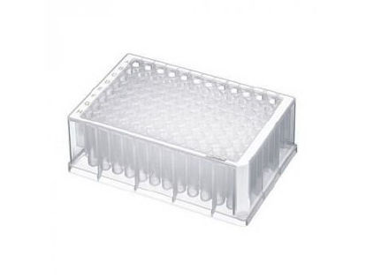 Picture of 96-Well Microplate Eppendorf Deepwell Deepwell 1,000 µL White Frame / Clear Wells NonSterile951033006