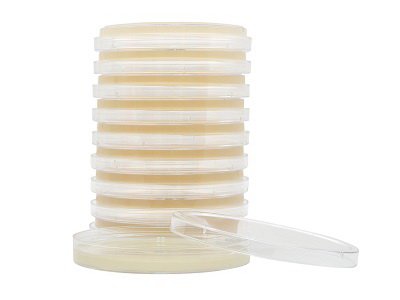 Picture of Prepared Media HardyCHROM™ Methicillin Resistant Staphylococcus Aureus Petri Plate FormatG307