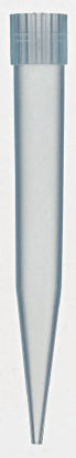 Picture of Tip, Pipette Fisherbrand® Eppendorf Style, 101 - 1000 µl Distinctive Pipetteters21375E