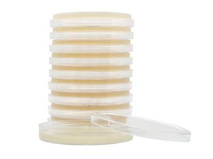 Picture of Prepared Media HardyCHROM™ Candida Petri Plate FormatG301