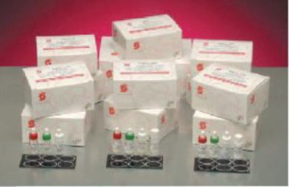 Picture of Rapid Test Kit RaPET® CRP Immunochemistry / Specific Protein Test C-Reactive Protein (CRP) Serum Sample 100 Tests1130-100