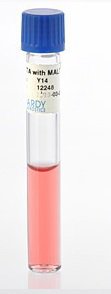 Picture of Prepared Media Cystine Trypticase™ Agar (CTA Medium™) with Maltose Tube FormatY14