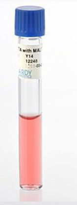 Picture of Prepared Media Cystine Trypticase™ Agar (CTA Medium™) with Maltose Tube FormatY14