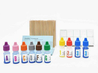 Picture of Rapid Test Kit StrepPRO™ Latex Agglutination Test Streptococci Groups A, B, C, D, F and G Identification Bacteria Colony Sample 60 TestsPL030HD