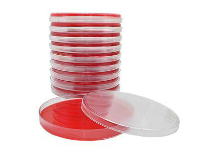 Picture of Prepared Media Mueller Hinton Agar with 5% Sheep Blood Petri Plate FormatH21