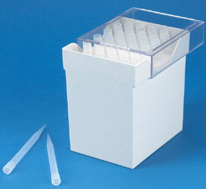 Picture of Pipette Tip 1,000 to 5,000 µL NonSterile151246R
