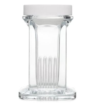 Picture of JAR, COPLIN GLASS STAINING W/WHT SCREW CAP (6/CS)900570