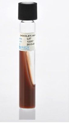 Picture of Prepared Media Chocolate Agar Slant Slant Tube FormatL37