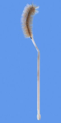 Picture of Flask Brush Fisherbrand® 12 Inch L, Bristle: 1.37 OD X 3.5 L Inch, Plastic, Flexible-Handle with Hanging Ring 250 mL Flask03570A