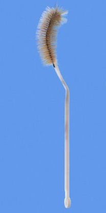 Picture of Flask Brush Fisherbrand® 12 Inch L, Bristle: 1.37 OD X 3.5 L Inch, Plastic, Flexible-Handle with Hanging Ring 250 mL Flask03570A