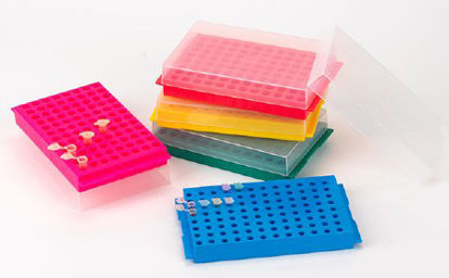 Picture of Microcentrifuge Tube Rack Globe® Scientific 96 Place 1.5 to 2 mL Tube Size / Reverse Side 0.2 to 0.5 mL Tube Size Assorted Colors 1-4/5 X 5-2/5 X 8-3/4 Inch456355AST