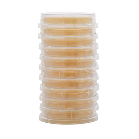 Picture of Growth Media Lok-Tight™ Sabdex (Sabouraud Dextrose) Agar Mono-Plate FormatP36