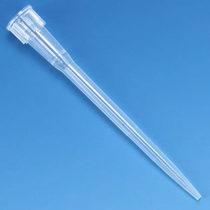 Picture of Pipette Tip 0.1 to 20 µL Graduated NonSterile151145RF