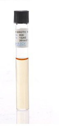 Picture of Prepared Media Brain Heart Infusion (BHI) Broth Tube FormatR20