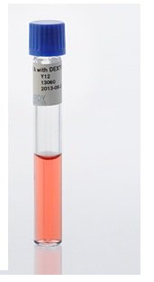 Picture of Prepared Media Cystine Trypticase™ Agar (CTA Medium™) with Dextrose Tube FormatY12