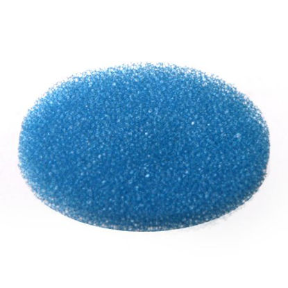 Picture of Pad, Biopsy Blue, Cellular Polyester Plastic Foam 29 mm Capsules6110