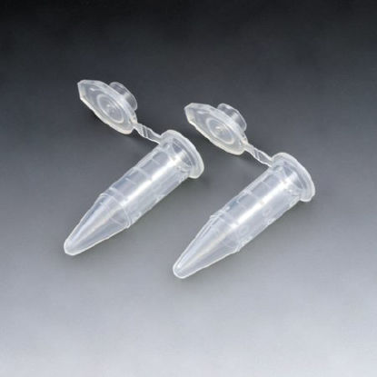 Picture of Microcentrifuge Tube Conical Bottom Plain 600 µL Without Color Coding Snap Cap Polypropylene Tube111550