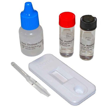 Picture of Rapid Test Kit Accutest® Rapid Mono Infectious Disease Immunoassay Infectious Mononucleosis Whole Blood / Serum / Plasma Sample 25 TestsID516