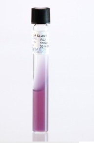 Picture of Prepared Media Lysine Iron Agar (LIA) Slant Tube FormatR22