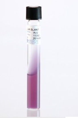 Picture of Prepared Media Lysine Iron Agar (LIA) Slant Tube FormatR22
