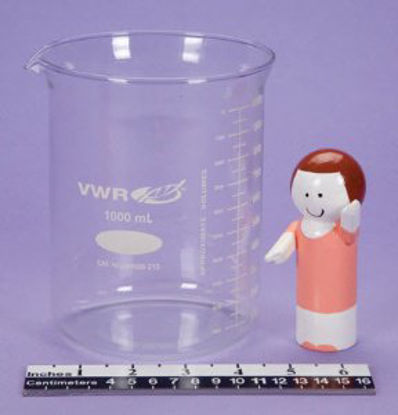 Picture of Laboratory Beaker Glass 1,000 mL (32 oz.)3375