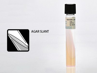 Picture of Prepared Media Tryptic Soy Agar (TSA) Slant Tube FormatL60
