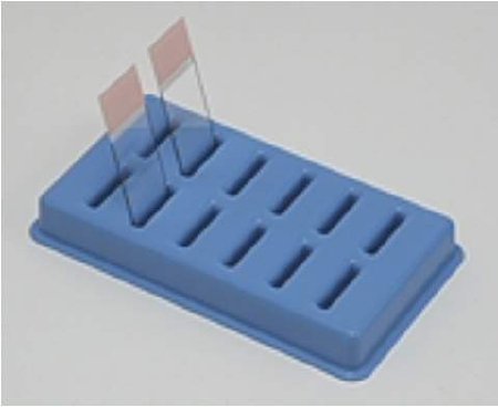 Picture of Slide Holder 6-5/8 X 3-7/8 X 7/8 Inch, Blue, Polypropylene For Drying / Draining Slides22038396
