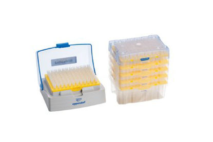 Picture of Low Retention Pipette Tip epT.I.P.S.® LoRetention Reloads, PCR Clean 2 to 200 µL Without Graduations NonSterile02717347
