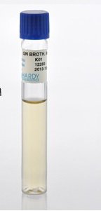 Picture of Prepared Media Gram Negative (GN) Broth Clear / Amber Tube FormatK01